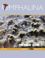 Omphalina-X-2.pdf