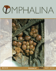 Omphalina-X-1.pdf