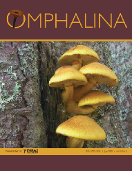 Omphalina_XI-3.pdf