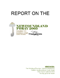 2003_Foray_Report.pdf