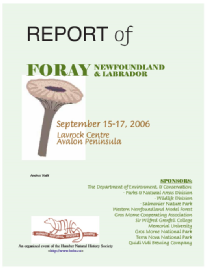 2006_foray_report.pdf
