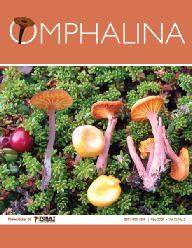 Omphalina_XI-2.pdf