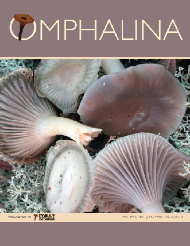 Omphalina-XI-1.pdf