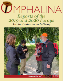 Foray Report 2019 and eForay 2020.pdf