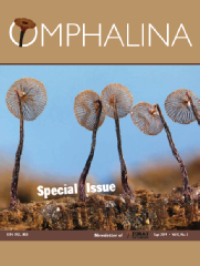 Omphalina-X-3.pdf