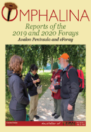 Foray Report 2019