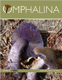 Omphalina_XII-3.pdf