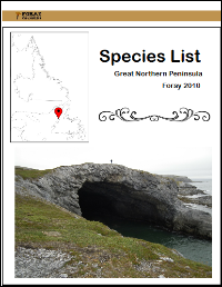 Great Northern Peninsula 2010.pdf